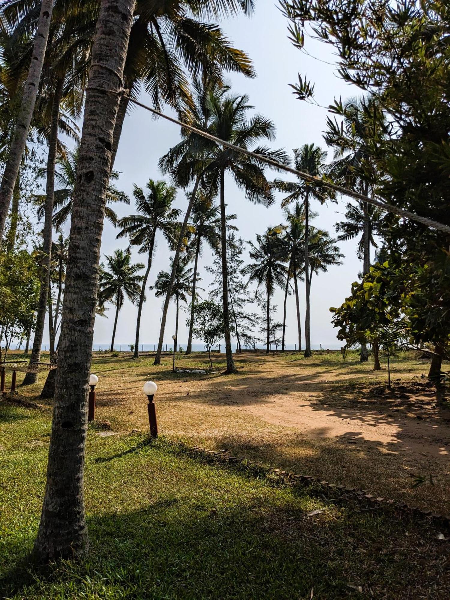 Baycliff Cottages Varkala Exterior photo