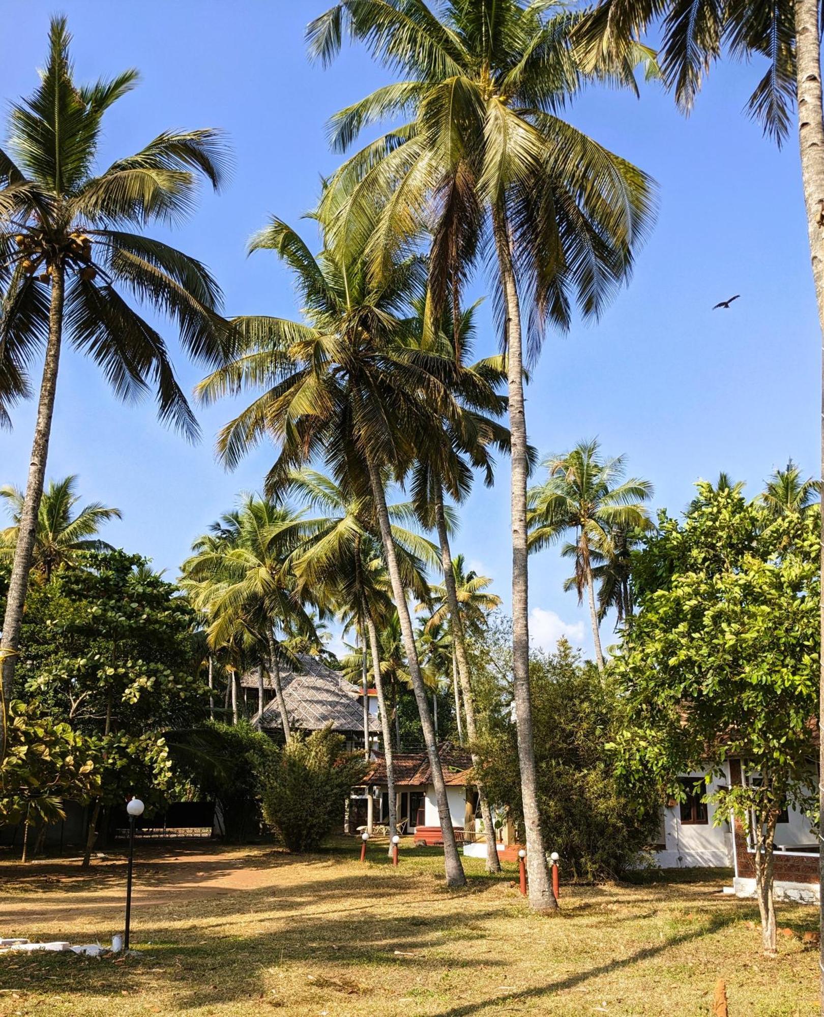 Baycliff Cottages Varkala Exterior photo